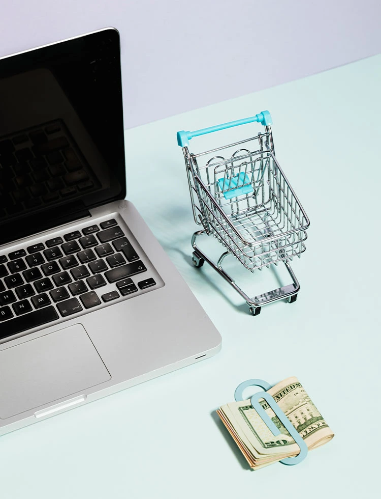 Odoo E-commerce Online Business